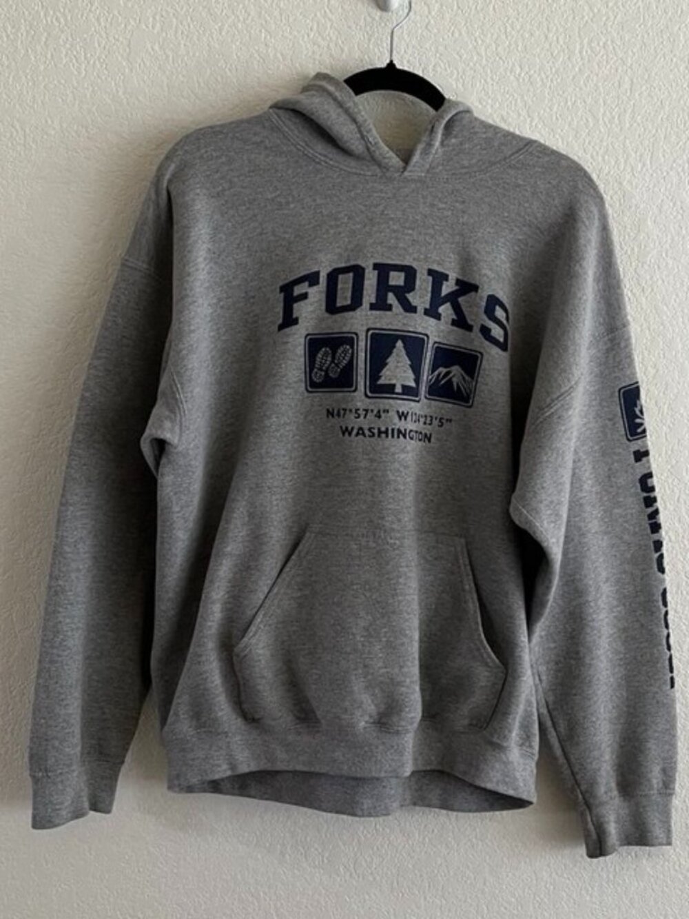 Forks Coordinates Hoodie Sweatshirt